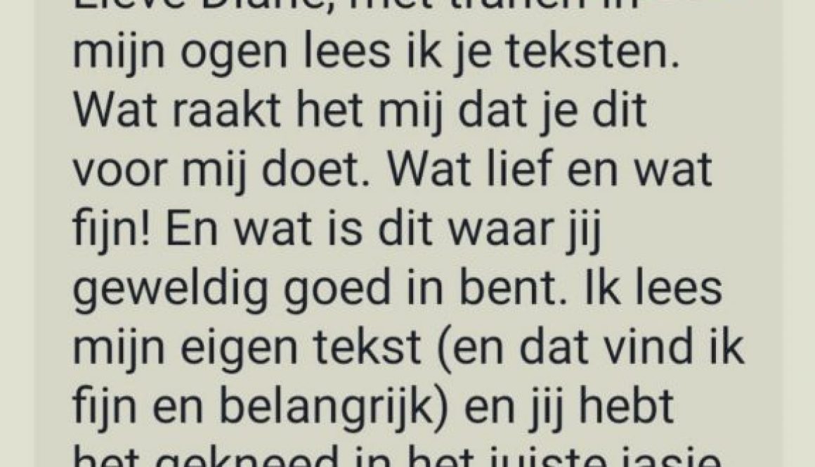 dhyaan lekker schrijven voor je bedrijf